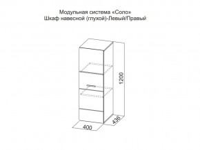 Шкаф навесной (глухой) Левый в Муравленко - muravlenko.magazin-mebel74.ru | фото