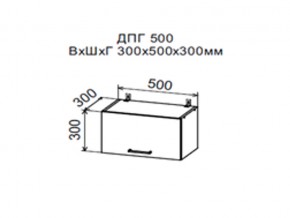 Шкаф верхний ДПГ500 горизонтальный в Муравленко - muravlenko.magazin-mebel74.ru | фото