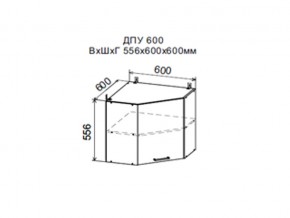 Шкаф верхний ДПУ600 угловой в Муравленко - muravlenko.magazin-mebel74.ru | фото